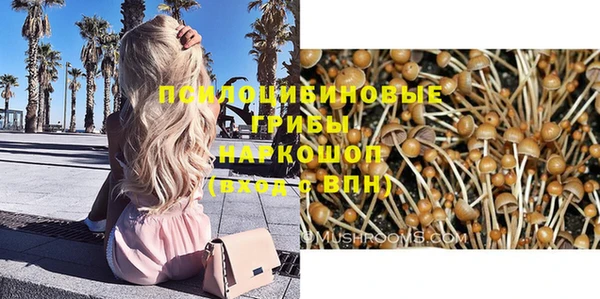 меф Арсеньев