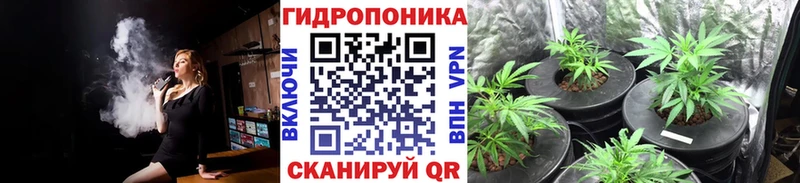 Бошки марихуана гибрид Гурьевск